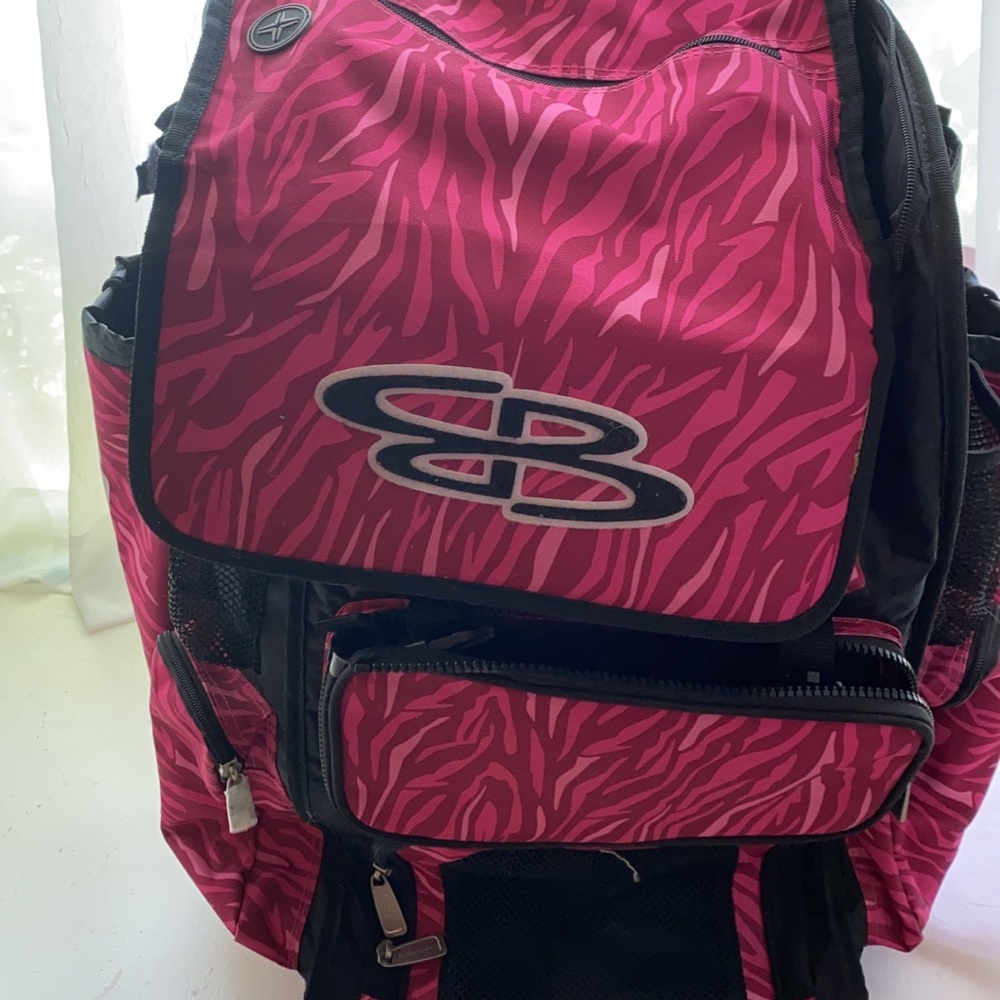 Softball bag